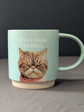 Hallmark Judgmental Cat Kevin Mug 16-ounce Light Blue Ceramic Quirky Kitschy